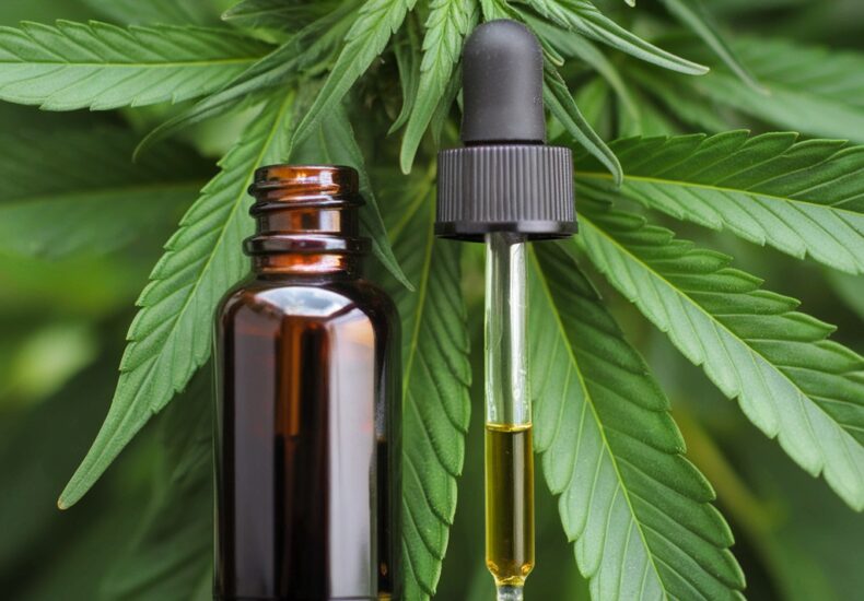 Feuilles de cannabis et flacon d’huile de CBD