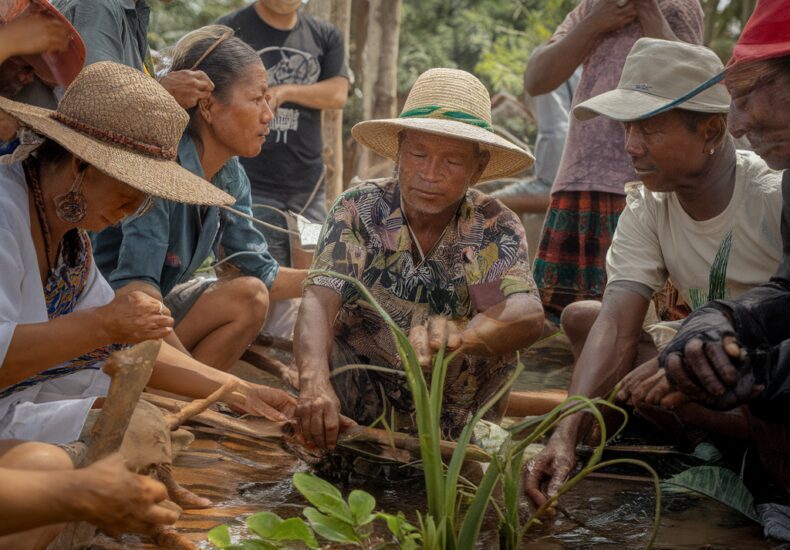 Official document of the Convention on Biological Diversity